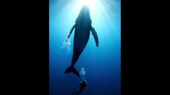 原神止水之潘任务 - 深蓝星球：探索海洋深处的未知世界